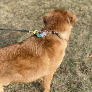 Meet your Posher, Gaia